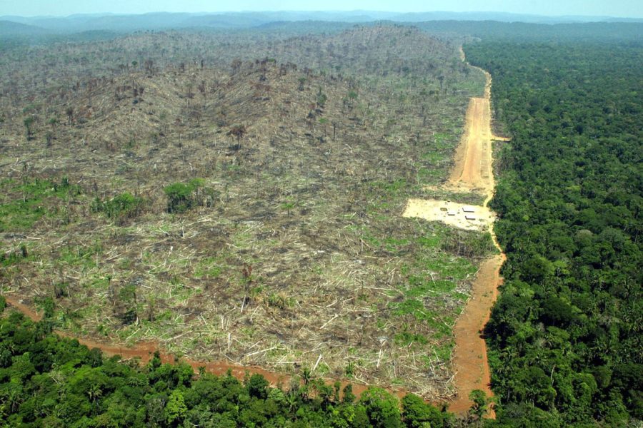 Avskogning i Amazonas.
