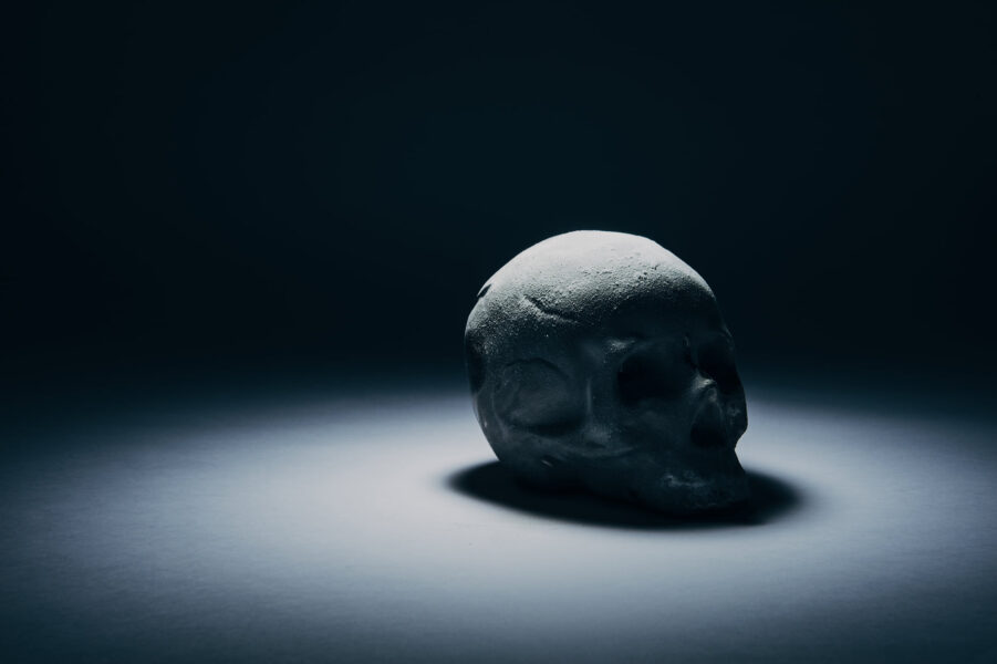 An image made with 3d software so not a photo of a real skull.