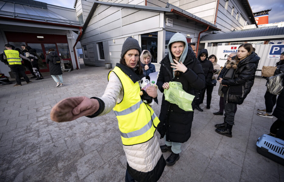 Ukrainska flyktingar i Sverige.