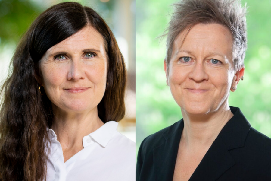  Märta Stenevi, språkrör Miljöpartiet och Ulrika Westerlund barnrättspolitisk talesperson och riksdagsledamot och i socialutskottet Miljöpartiet.