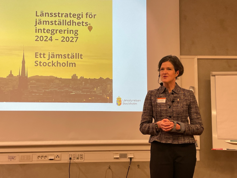Anna Kinberg Batra, Stockholms läns landshövding, introducerade hur Stockholms läns jämställdhetsarbete ska se ut de kommande tre åren.