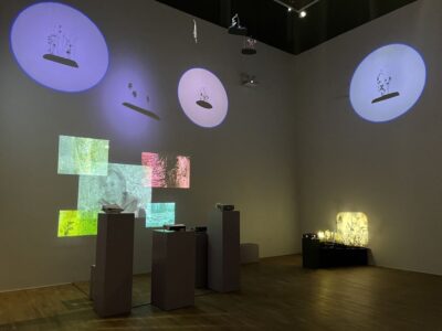 ljusspel i pastellfärger mot väggar i utställningslokal