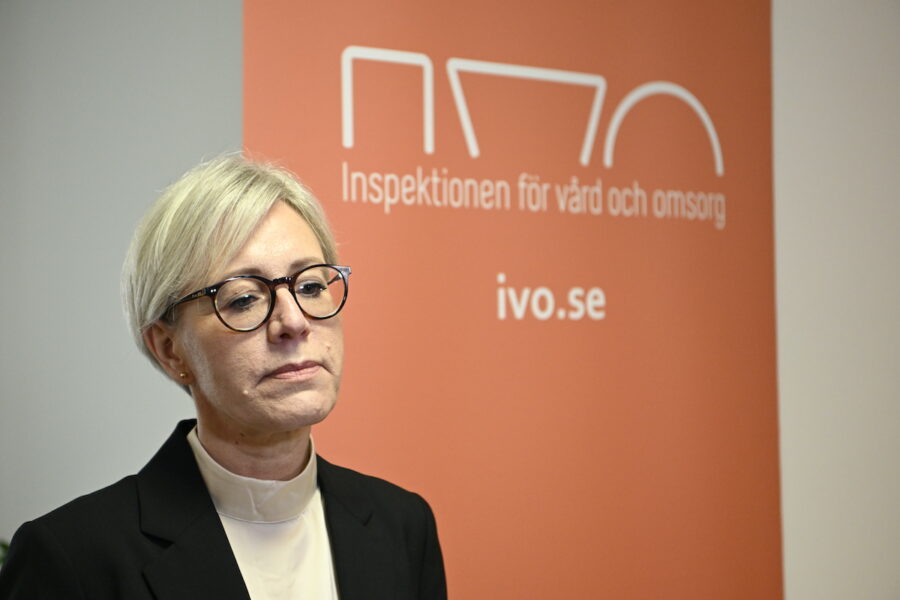 IVO:s generaldirektör Sofia Wallström konstaterar att socialtjänsten och hälso- och sjukvården brister i att bekämpa våld in nära relationer.