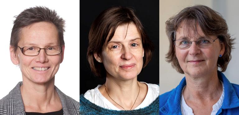 Bakom studien står bland andra Dominique Hange och Kirsten Mehlin, Institutionen för medicin, och Kristina Holmgren, Institutionen för neurovetenskap och fysiologi, Sahlgrenska akademin vid Göteborgs universitet.