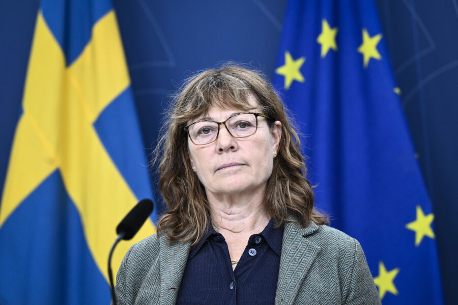 Lise Tamm med Sverige- och EU-flagga i bakgrunden