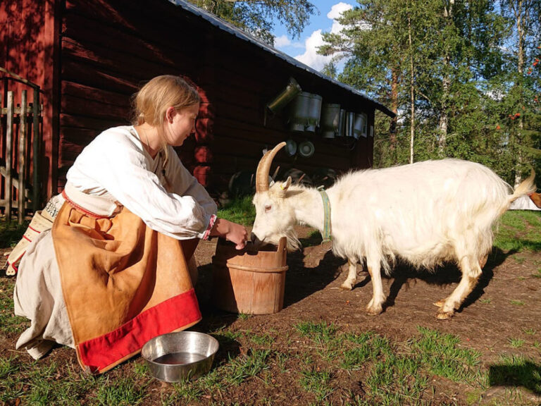 Flicka i kjol och förkläde med get.