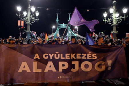 Demonstranter i Budapest.