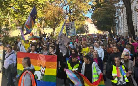 Demonstranter med regnbågsflaggor och transflagga.
